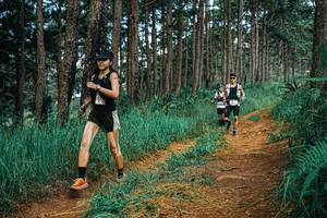 BIB: 
                            <button type="button" onclick="openModal(25750161)" class="btn btn-primary btn-sm float-right btn-popup" data-toggle="modal" data-target=".modal-high-quality">
                        <i class="fas fa-shopping-cart"></i> Add to Cart
                    </button>
                                            <button type="button" onclick="isThisMe(25750161, true)" class="btn btn-success btn-sm float-right btn-popup btn-isme hidden" data-toggle="tooltip" data-placement="bottom" title="นี่คือรูปของคุณใช่ไหม คลิกที่นี่เพื่อเอาเข้าอัลบั้ม">
                        <i class="fas fa-plus"></i> Add to album
                    </button>
                    <button type="button" onclick="isThisMe(25750161, false)" class="btn btn-warning btn-sm float-right btn-popup btn-isnotme hidden">
                        <i class="fas fa-ban"></i> Remove from album
                    </button>